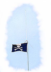 a radio tower with a pirate flag